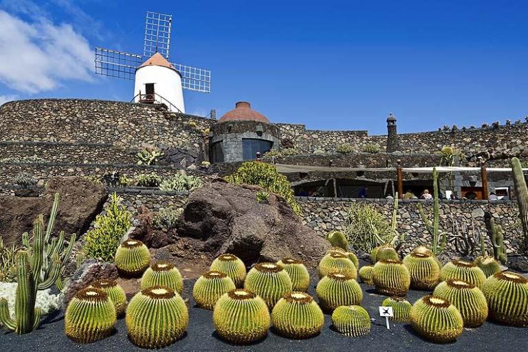 Lanzarote Vulkanlandschaft