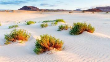 Fuertventura_Strand