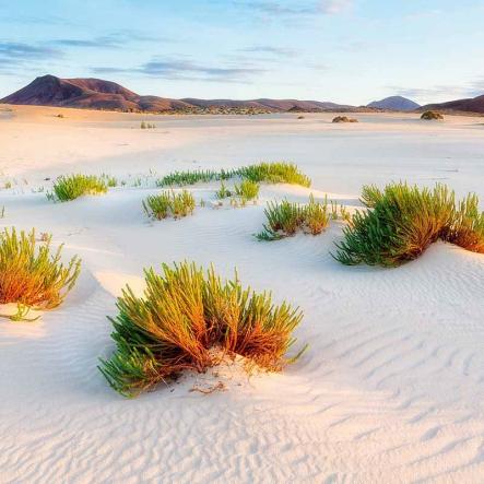 Fuertventura_Strand