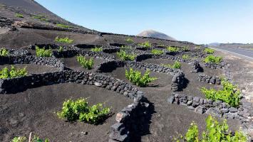 Lanzarote