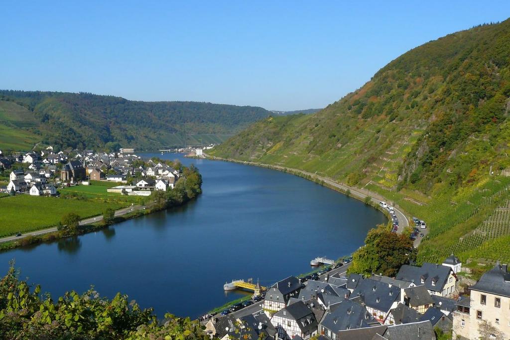 Mosel Mosel