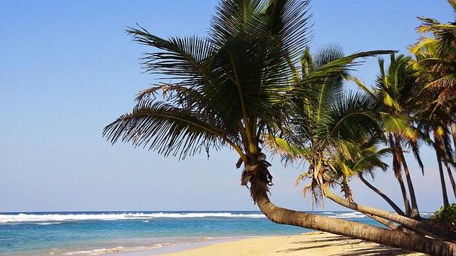 punta-cana-1808462_640